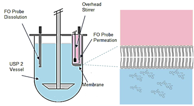 Application of MacroFLUXTM apparatus for screening formulations before bioequivalence studies