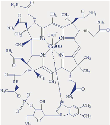 In situ Fiber Optic Dissolution Monitoring of a Vitamin B12 Solid Dosage Formulation