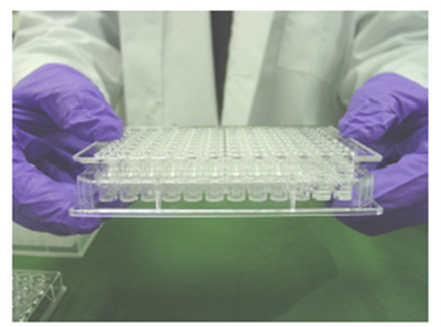 Prediction of in situ Blood-Brain Barrier Permeability using BBB PAMPA Model