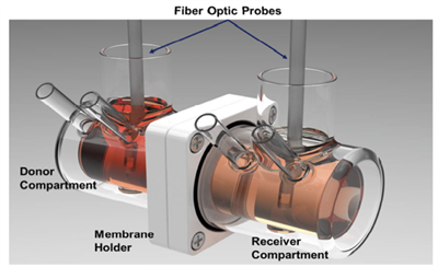 Comparing dissolution, solubility and trans-membrane flux of nanoparticle formulation of griseofulvin with micronized and un-processed drug